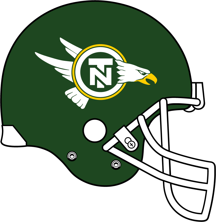 North Texas Mean Green 1983-1991 Helmet t shirts iron on transfers